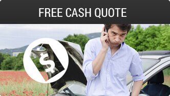 Free cash quotes